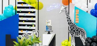 Kara’s Feestideeën Feestbeest Verjaardagsfeestje